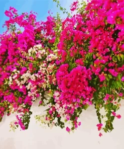Bougainvillea Plant Diamond Painting