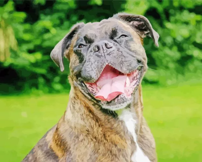 brindle dog Diamond Paints Brindle Dog Diamond Painting