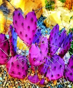 Cactus Heart Diamond Painting