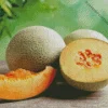 Cantaloupe Melon Diamond Painting