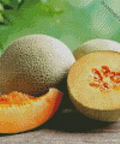Cantaloupe Melon Diamond Painting