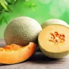 Cantaloupe Melon Diamond Painting