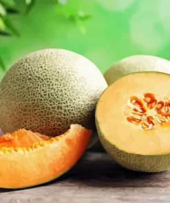 Cantaloupe Melon Diamond Painting