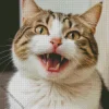 Cat Smiling Diamond Painting