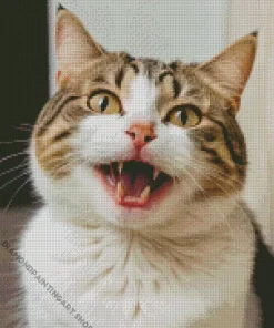 Cat Smiling Diamond Painting