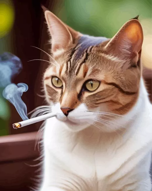 cat smoking cigarette Diamond Paints Cat Smoking Cigarette Diamond Painting