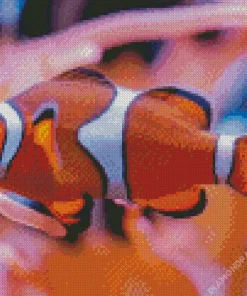 Clownfish Underwater Diamond Painting