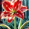 Cool Amaryllis Art Diamond Painting