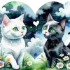 Cute Black And White Cats Diamond Painting