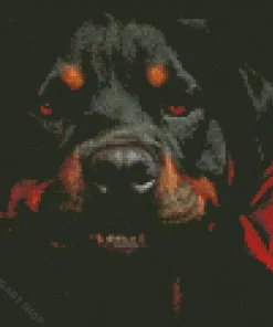 Dog Holding A Rose Diamond Painting