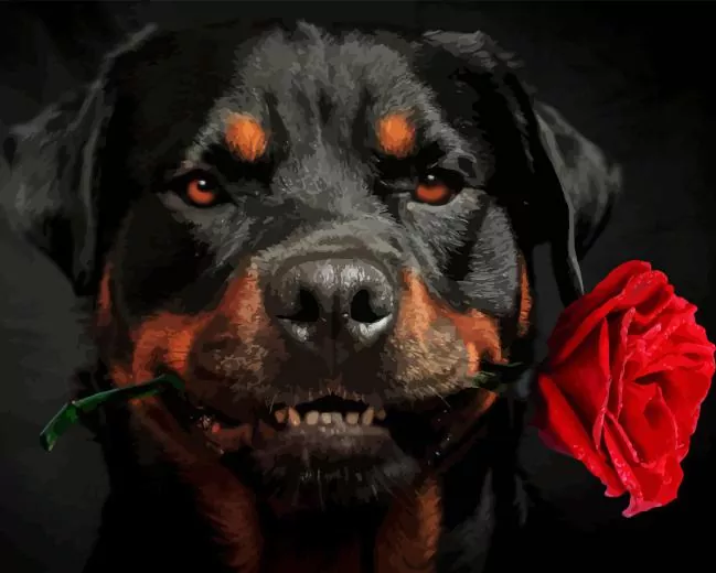 dog holding a rose Diamond Paints Dog Holding A Rose Diamond Painting