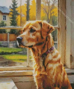 Dog Looking Out Of Window Art Diamond Painting