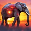 Elephant And Sunset Art Diamond Painting