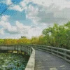 Everglades National Park Diamond Painting