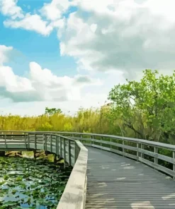 Everglades National Park Diamond Painting