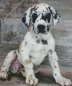 Fawnequin Great Dane Puppy Diamond Painting
