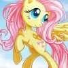 Fluttershy Unicorn Art Diamond Painting