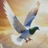 Flying Pigeon Diamond Painting