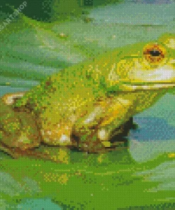 Frog And Lily Pad Diamond Painting