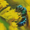 Green Bee Insect Diamond Painting
