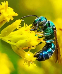 Green Bee Insect Diamond Painting