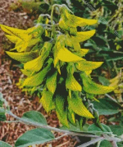 Green Birdflower Diamond Painting