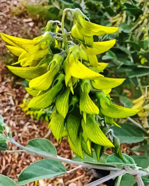 green birdflower Diamond Paints Green Birdflower Diamond Painting