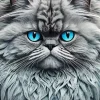 Grey Persian Cat Diamond Painting