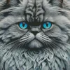 Grey Persian Cat Diamond Painting