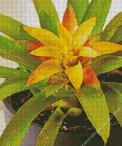 Guzmania Bromeliad Diamond Painting