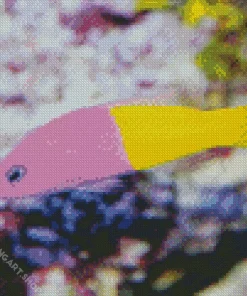 Half Yellow Half Purple Fish Diamond Painting