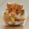 Hamster Eating Diamond Painting