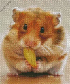 Hamster Eating Diamond Painting