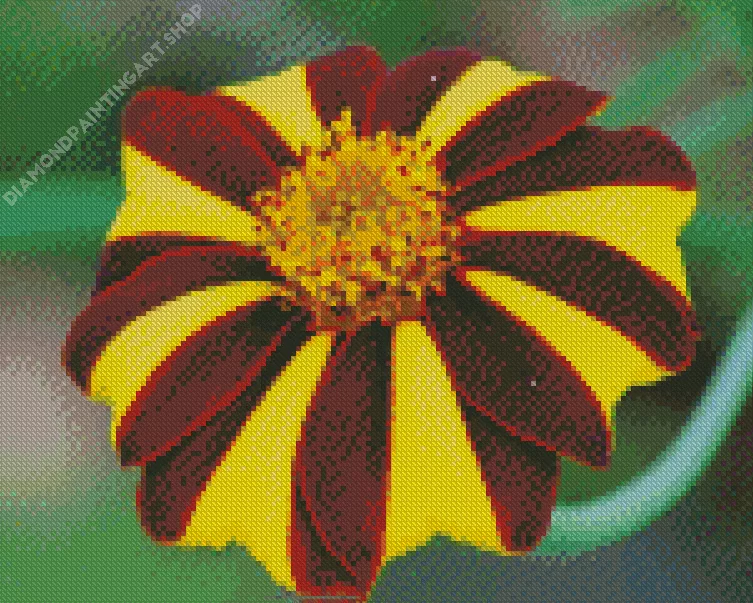 harlequin marigold Diamond By Numbers