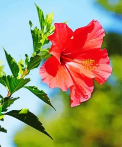 Hawaiian Flower Diamond Painting