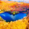 Heart Lake Canada Diamond Painting