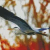 Heron Bird Flying Diamond Painting