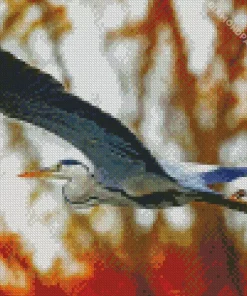 Heron Bird Flying Diamond Painting