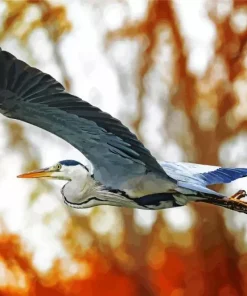 Heron Bird Flying Diamond Painting