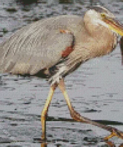 Heron Eating Fish Diamond Painting
