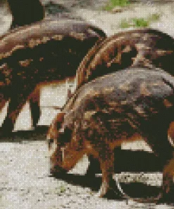 Hog Baby Animals Diamond Painting
