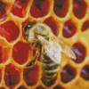 Honey Bee Hive Diamond Painting