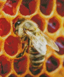 Honey Bee Hive Diamond Painting