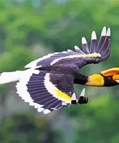 Hornbill Bird Flying Diamond Painting