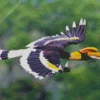 Hornbill Bird Flying Diamond Painting