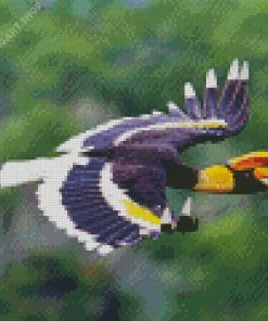 Hornbill Bird Flying Diamond Painting