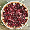 Huckleberry Pie Diamond Painting