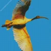 Ibis Bird Flying Diamond Painting