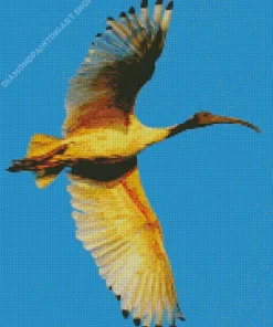 Ibis Bird Flying Diamond Painting