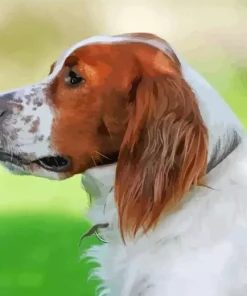 Irish Red And White Setter Diamond Painting